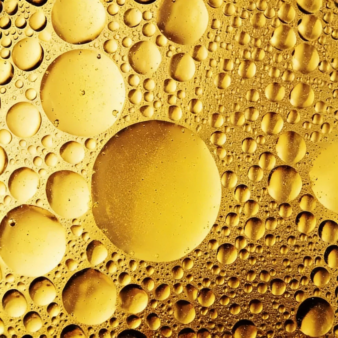 Nano-Optimized for Maximum Absorption (2)